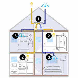 Diagram of a Mechanical Ventilation with Heat Recovery (MVHR) system 